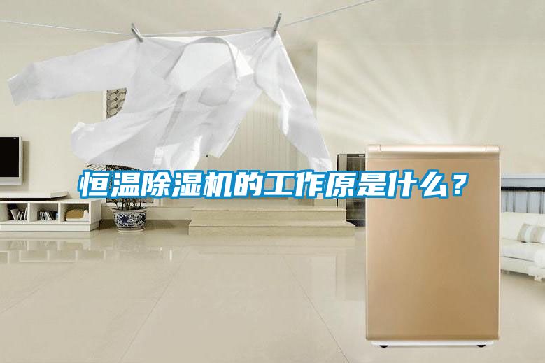 恒溫除濕機的工作原是什么？