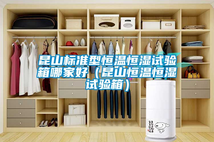 昆山標準型恒溫恒濕試驗箱哪家好（昆山恒溫恒濕試驗箱）