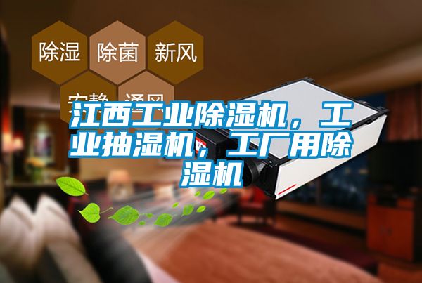江西工業(yè)除濕機(jī)，工業(yè)抽濕機(jī)，工廠用除濕機(jī)
