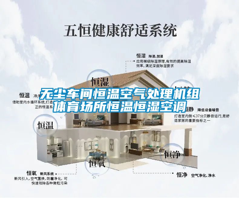 無(wú)塵車(chē)間恒溫空氣處理機組體育場(chǎng)所恒溫恒濕空調