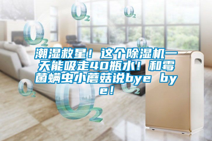 潮濕救星！這個(gè)除濕機一天能吸走40瓶水！和霉菌螨蟲(chóng)小蘑菇說(shuō)bye bye！