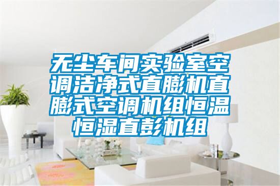 無(wú)塵車(chē)間實(shí)驗室空調潔凈式直膨機直膨式空調機組恒溫恒濕直彭機組