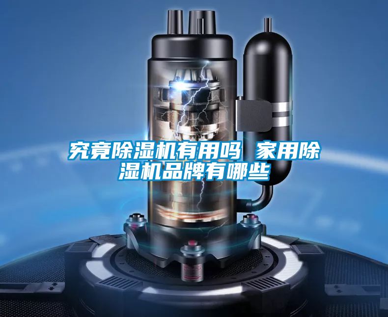 究竟除濕機有用嗎 家用除濕機品牌有哪些