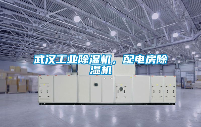 武漢工業(yè)除濕機，配電房除濕機
