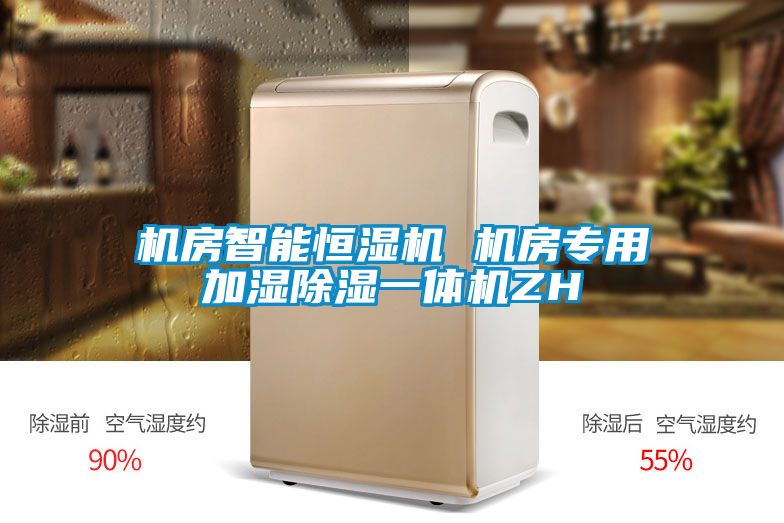 機房智能恒濕機 機房專(zhuān)用加濕除濕一體機ZH