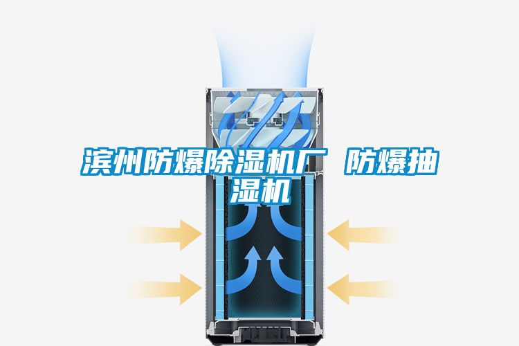 濱州防爆除濕機廠(chǎng) 防爆抽濕機
