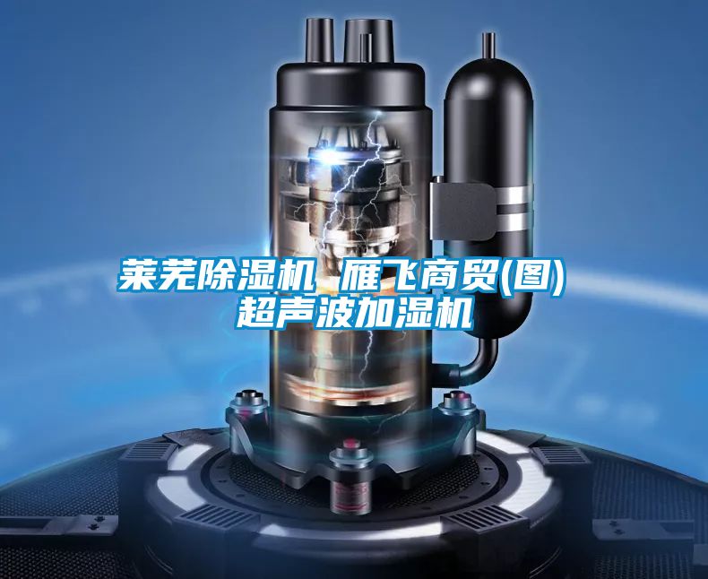 萊蕪除濕機(jī) 雁飛商貿(mào)(圖) 超聲波加濕機(jī)