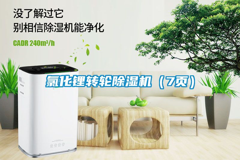 氯化鋰轉(zhuǎn)輪除濕機(jī)（7頁(yè)）