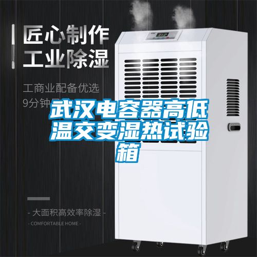 武漢電容器高低溫交變濕熱試驗箱