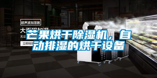 芒果烘干除濕機(jī)，自動(dòng)排濕的烘干設(shè)備