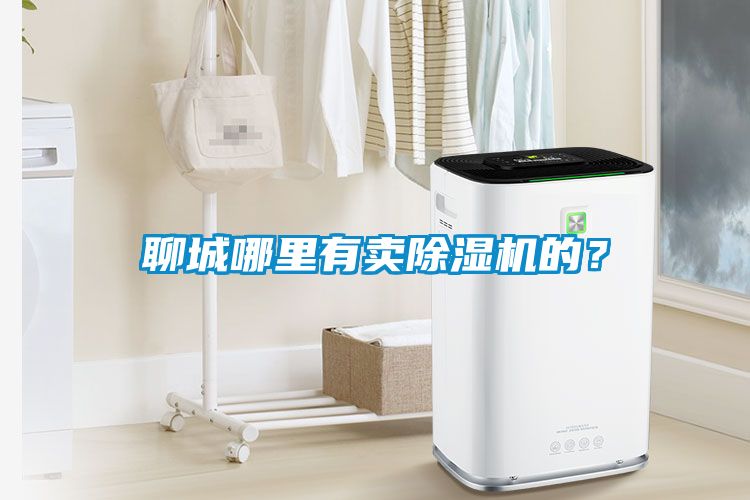 聊城哪里有賣(mài)除濕機的？