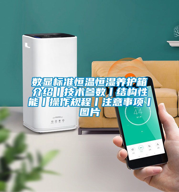 數顯標準恒溫恒濕養護箱介紹丨技術(shù)參數丨結構性能丨操作規程丨注意事項丨圖片