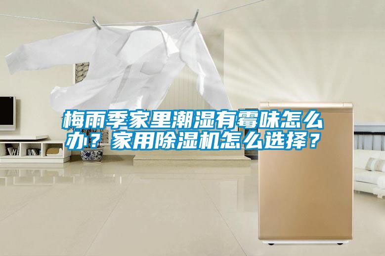 梅雨季家里潮濕有霉味怎么辦？家用除濕機(jī)怎么選擇？