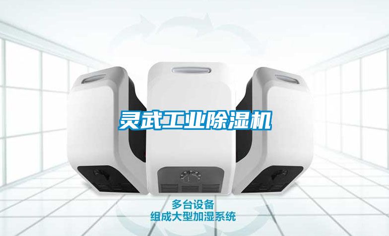 靈武工業(yè)除濕機