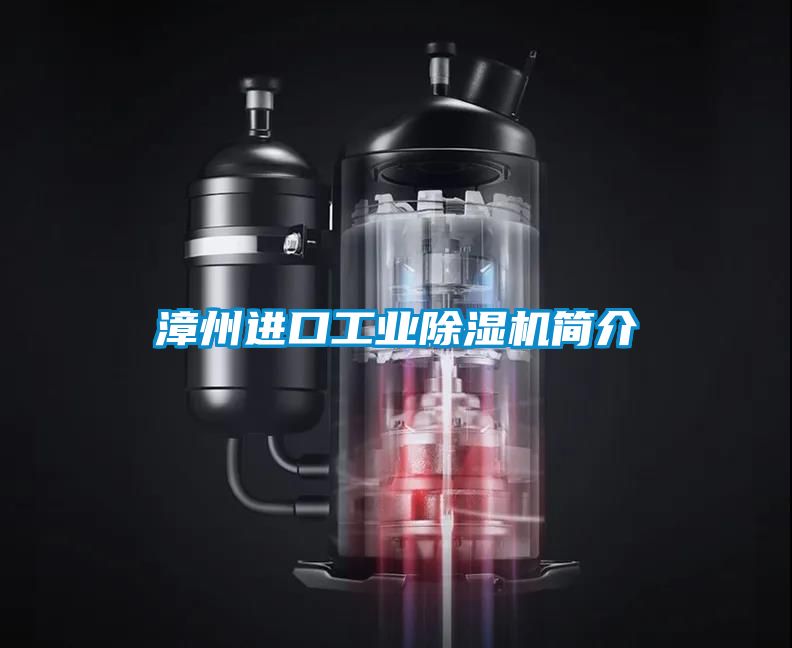 漳州進口工業(yè)除濕機簡介