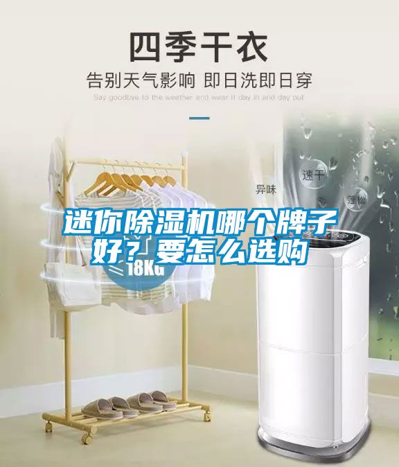迷你除濕機哪個(gè)牌子好？要怎么選購