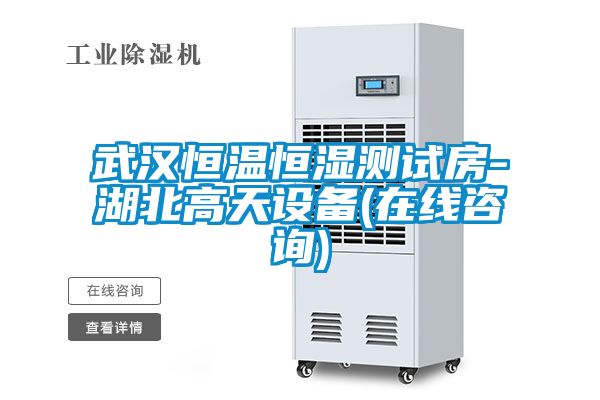 武漢恒溫恒濕測試房-湖北高天設備(在線(xiàn)咨詢(xún))