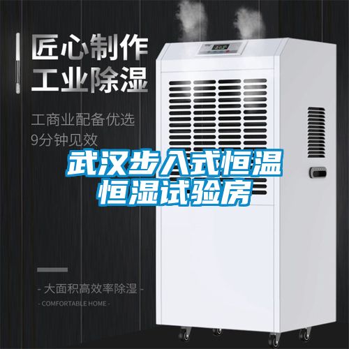 武漢步入式恒溫恒濕試驗(yàn)房