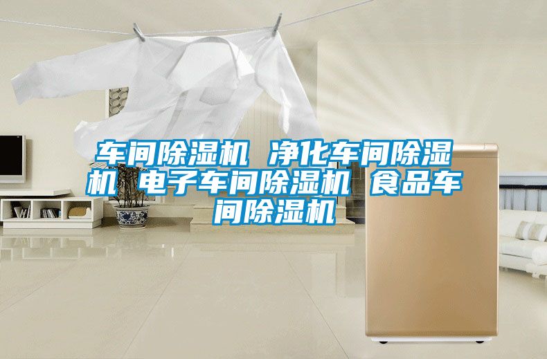 車間除濕機(jī) 凈化車間除濕機(jī) 電子車間除濕機(jī) 食品車間除濕機(jī)