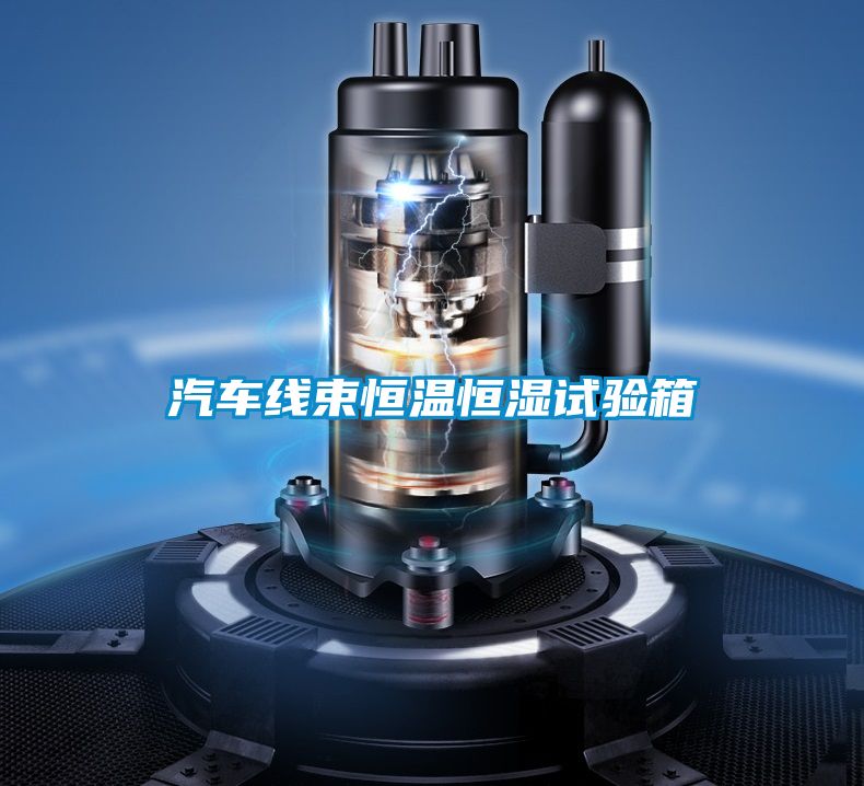 汽車(chē)線(xiàn)束恒溫恒濕試驗箱