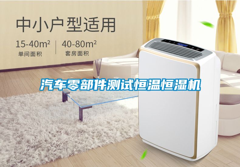 汽車(chē)零部件測試恒溫恒濕機