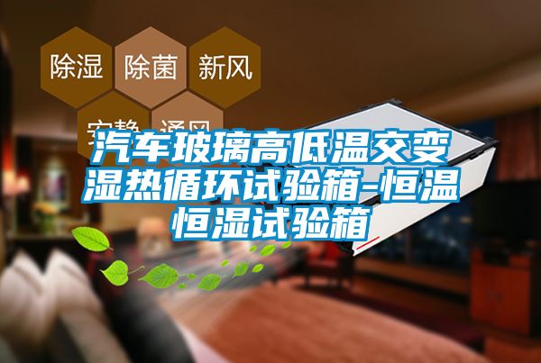 汽車(chē)玻璃高低溫交變濕熱循環(huán)試驗箱-恒溫恒濕試驗箱