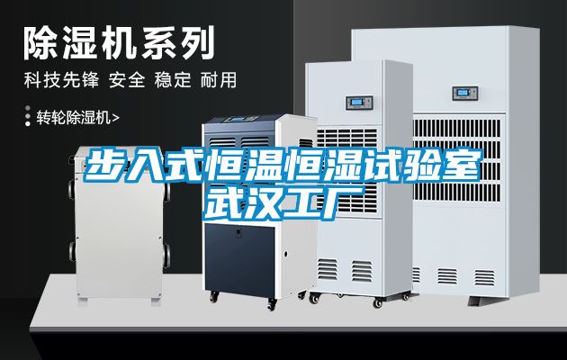 步入式恒溫恒濕試驗(yàn)室武漢工廠