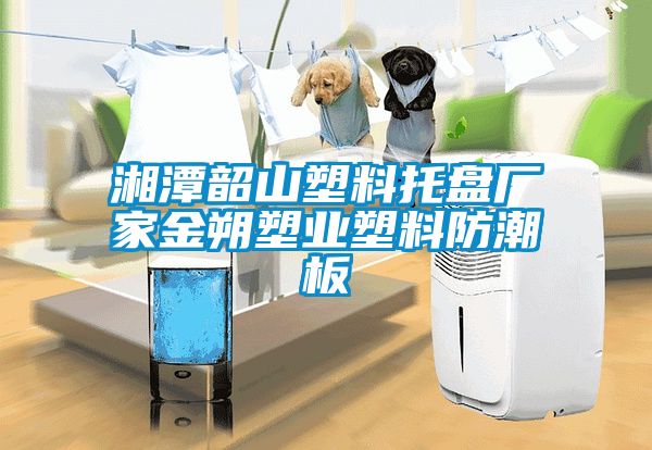 湘潭韶山塑料托盤(pán)廠家金朔塑業(yè)塑料防潮板