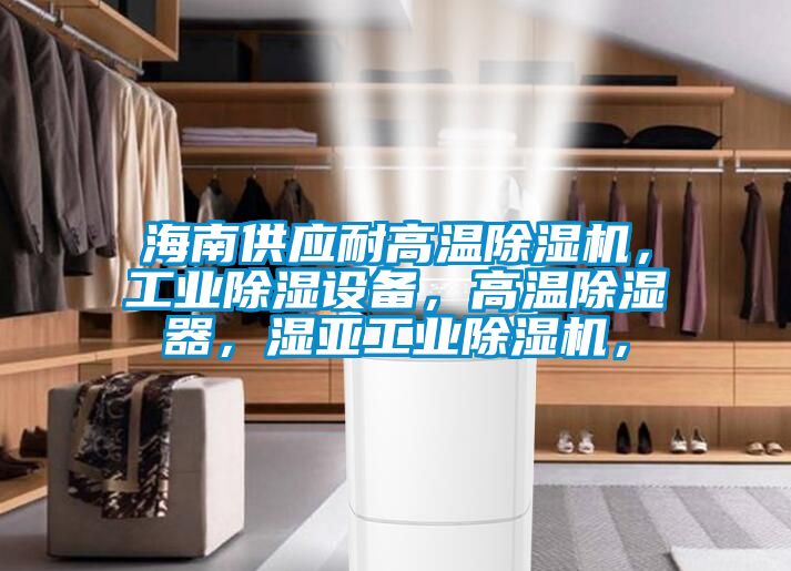 海南供應(yīng)耐高溫除濕機(jī)，工業(yè)除濕設(shè)備，高溫除濕器，濕亞工業(yè)除濕機(jī)，