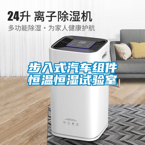 步入式汽車組件恒溫恒濕試驗(yàn)室