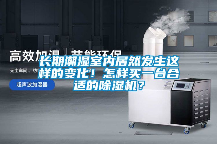 長(cháng)期潮濕室內居然發(fā)生這樣的變化！怎樣買(mǎi)一臺合適的除濕機？