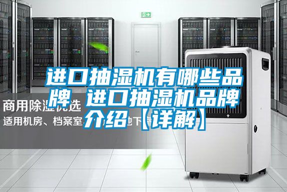 進(jìn)口抽濕機(jī)有哪些品牌 進(jìn)口抽濕機(jī)品牌介紹【詳解】