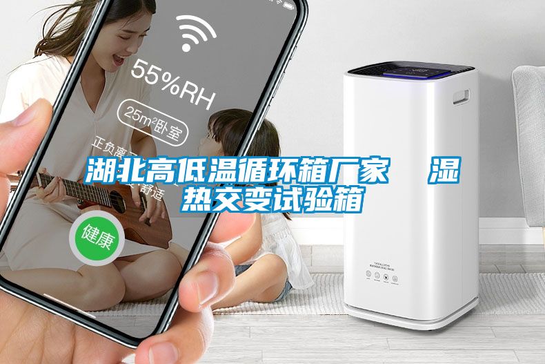 湖北高低溫循環(huán)箱廠家  濕熱交變試驗(yàn)箱