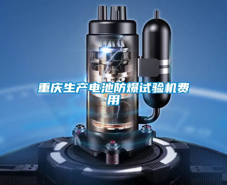 重慶生產(chǎn)電池防爆試驗機費用