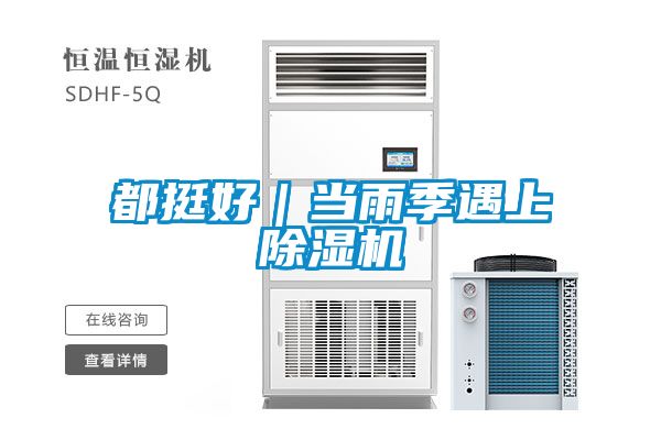 都挺好｜當(dāng)雨季遇上除濕機