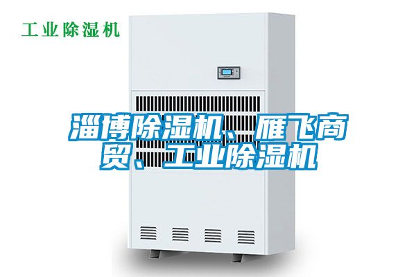 淄博除濕機(jī)、雁飛商貿(mào)、工業(yè)除濕機(jī)