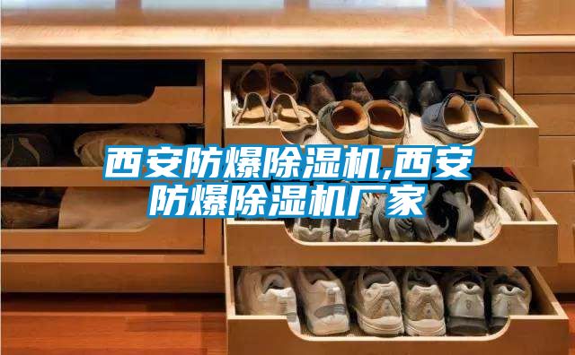 西安防爆除濕機(jī),西安防爆除濕機(jī)廠家