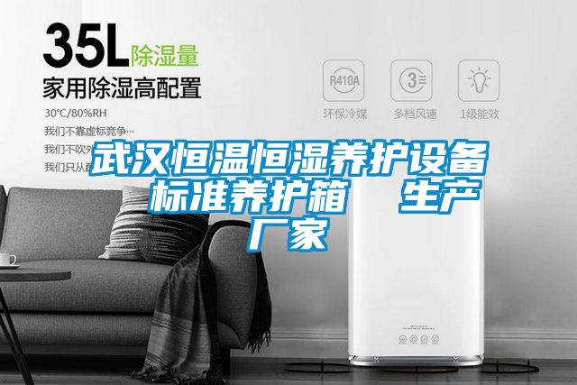 武漢恒溫恒濕養護設備  標準養護箱  生產(chǎn)廠(chǎng)家