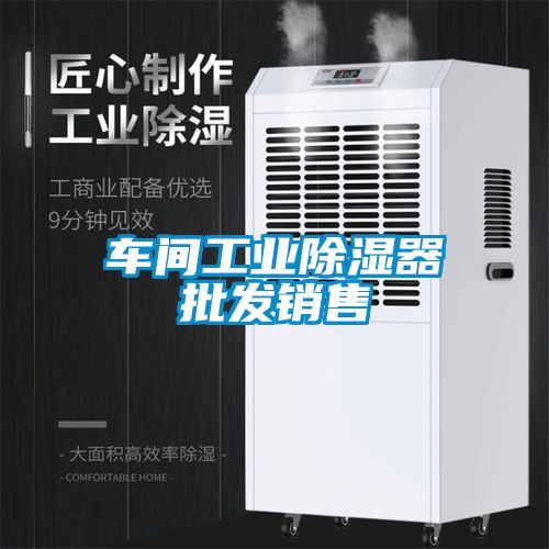 車(chē)間工業(yè)除濕器批發(fā)銷(xiāo)售