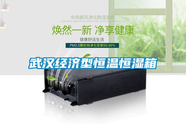 武漢經(jīng)濟型恒溫恒濕箱