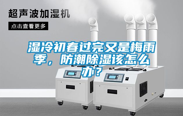 濕冷初春過(guò)完又是梅雨季，防潮除濕該怎么辦？