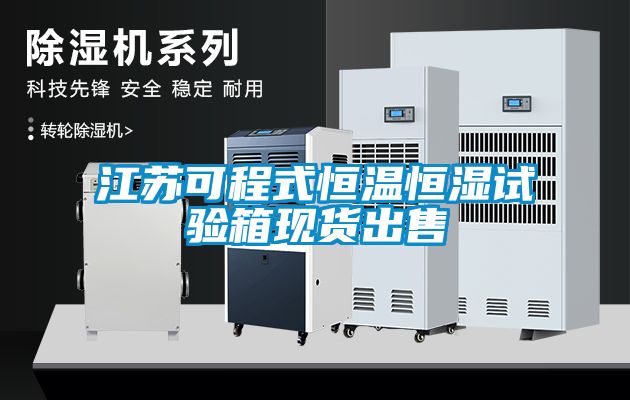 江蘇可程式恒溫恒濕試驗箱現貨出售