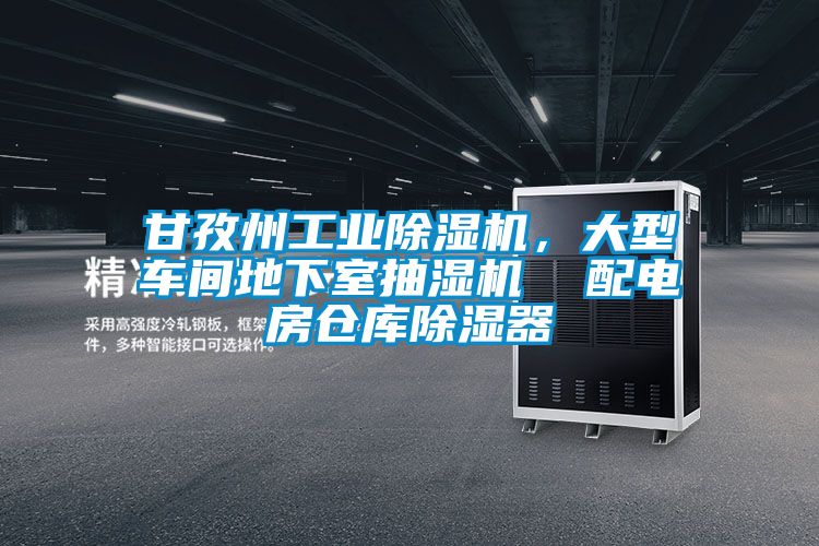 甘孜州工業(yè)除濕機(jī)，大型車間地下室抽濕機(jī)  配電房倉庫除濕器