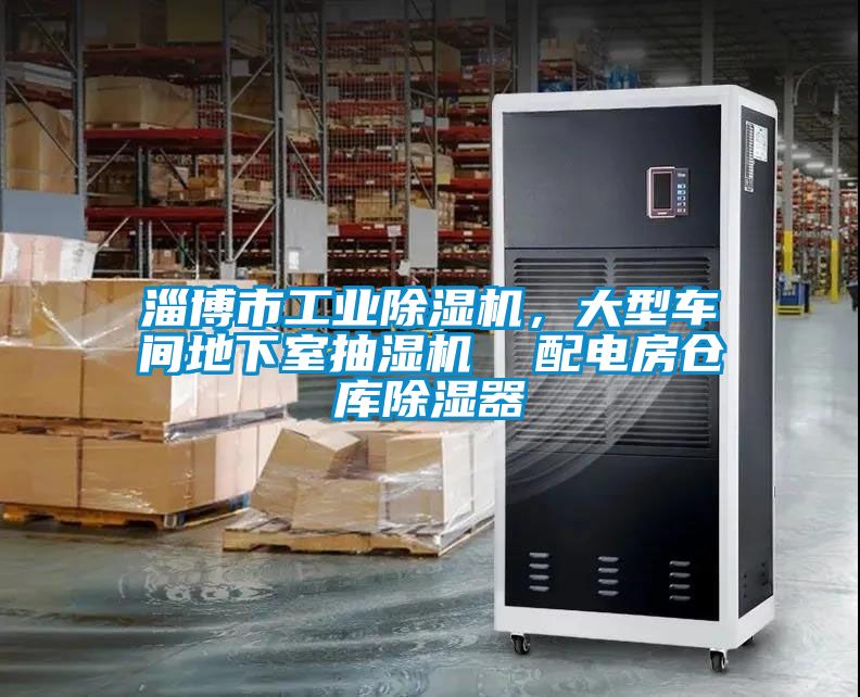 淄博市工業(yè)除濕機，大型車(chē)間地下室抽濕機  配電房倉庫除濕器