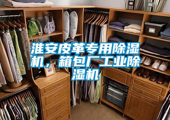 淮安皮革專用除濕機(jī)，箱包廠工業(yè)除濕機(jī)