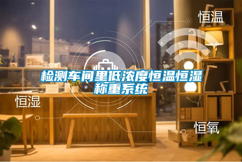檢測車(chē)間里低濃度恒溫恒濕稱(chēng)重系統