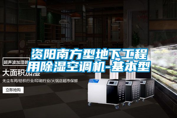 資陽南方型地下工程用除濕空調(diào)機-基本型