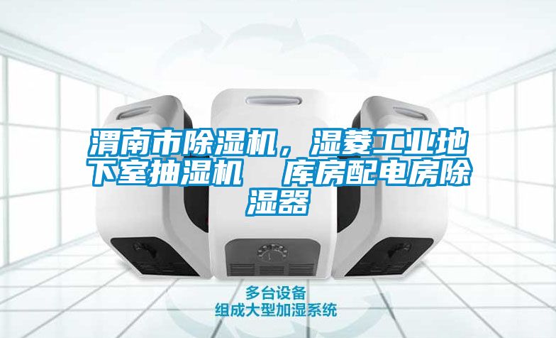 渭南市除濕機(jī)，濕菱工業(yè)地下室抽濕機(jī)  庫房配電房除濕器