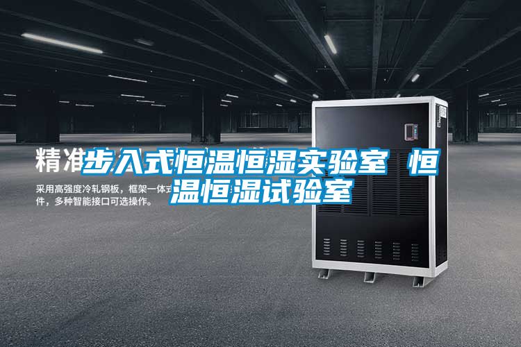 步入式恒溫恒濕實(shí)驗室 恒溫恒濕試驗室