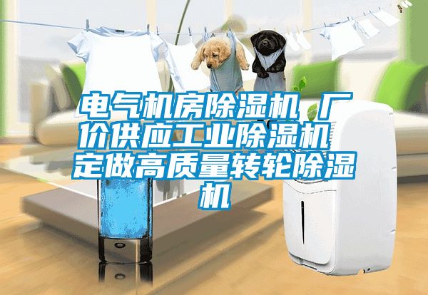 電氣機房除濕機 廠(chǎng)價(jià)供應工業(yè)除濕機 定做高質(zhì)量轉輪除濕機